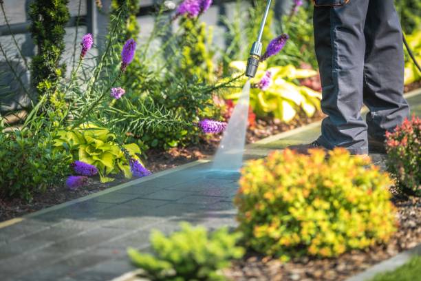 Best Soft Washing for Delicate Surfaces in Milledgeville, GA